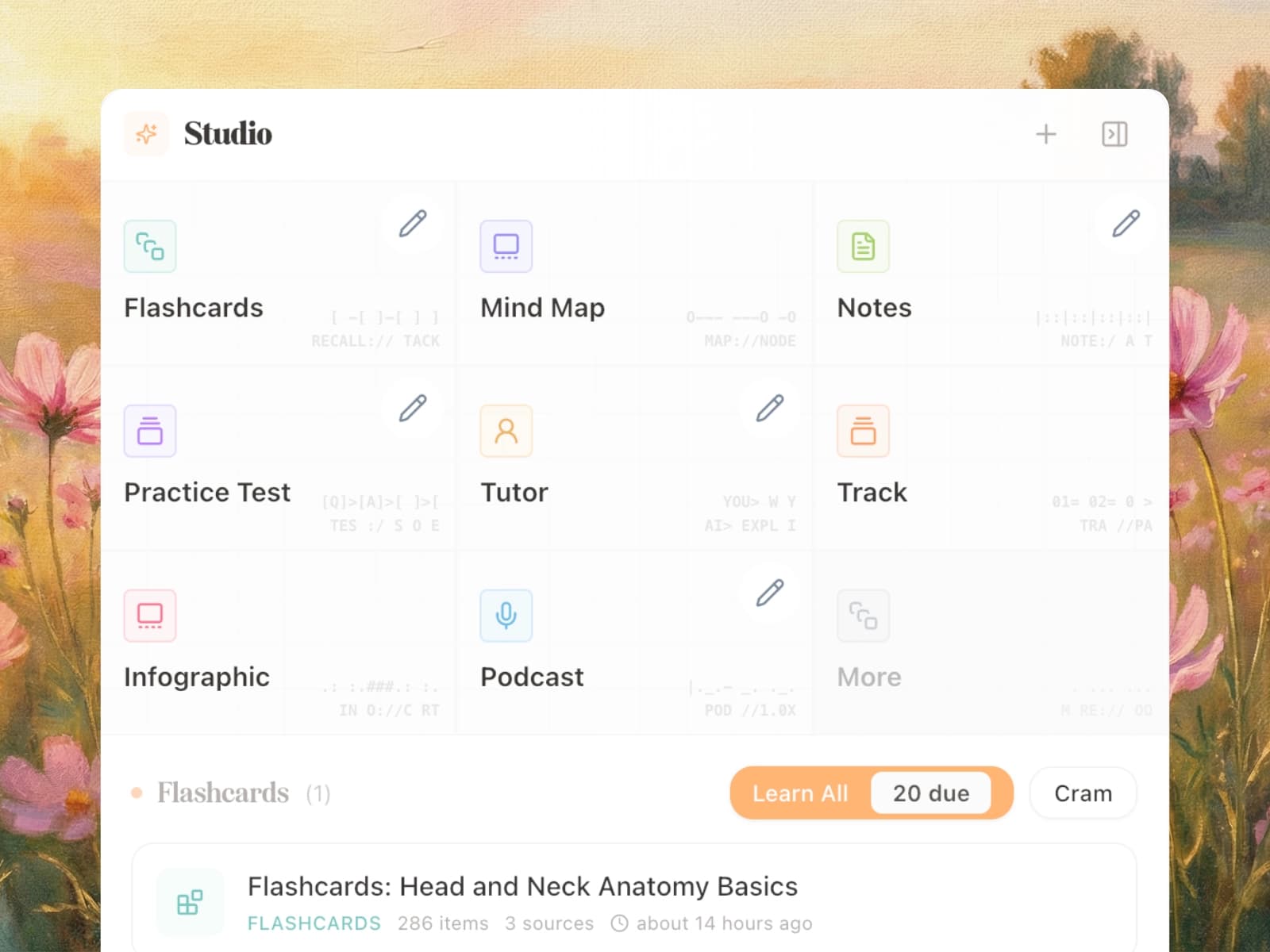 Memo Studio generated study materials