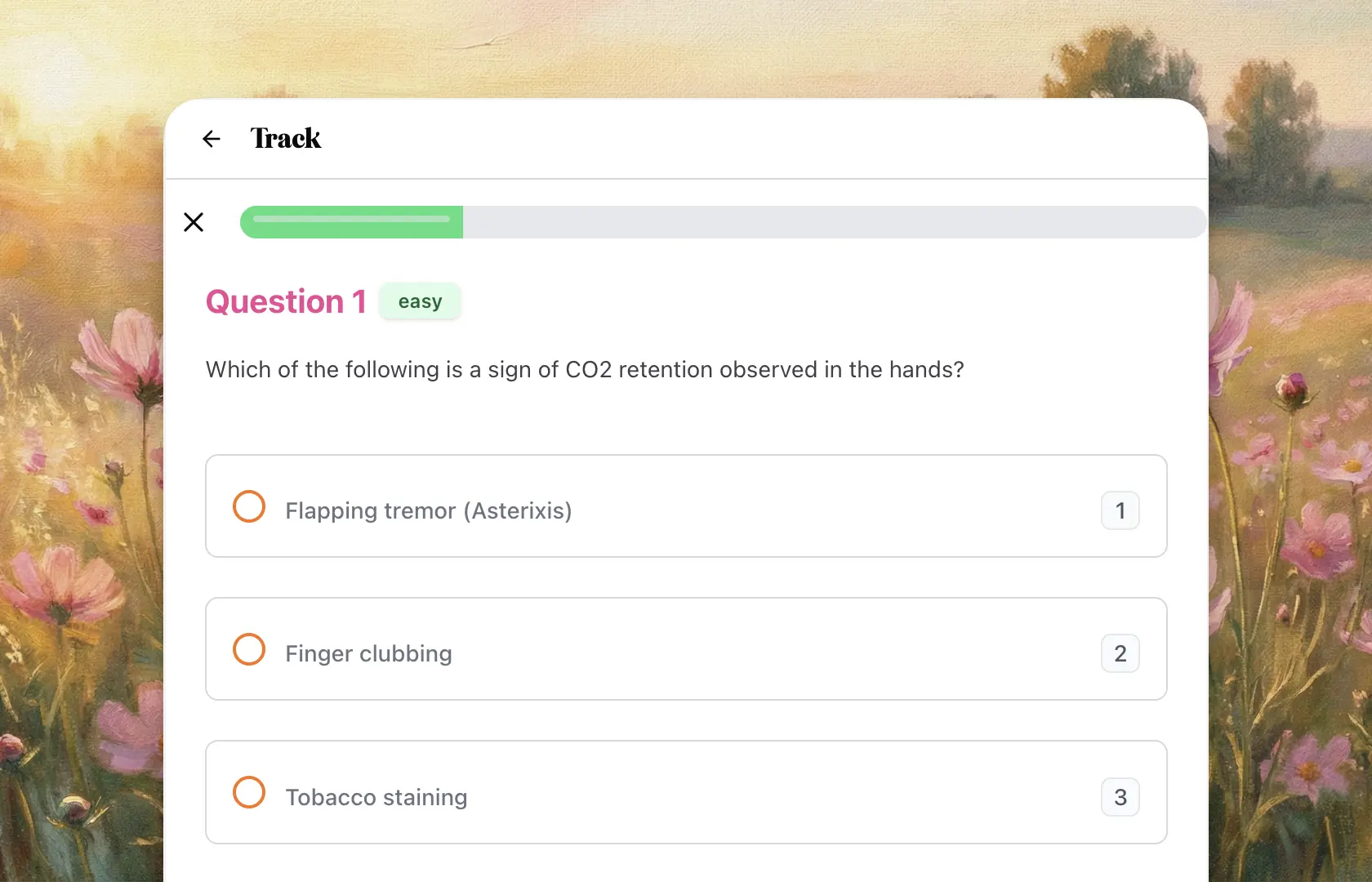 Comprehension checks preview